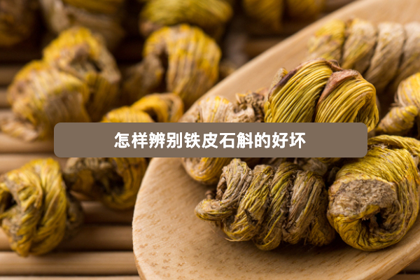 怎么辨别铁皮石斛的好坏.jpg