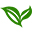 霍山石斛网 - 铁皮石斛、石斛价格、石斛的功效与作用、专业的石斛百科网站